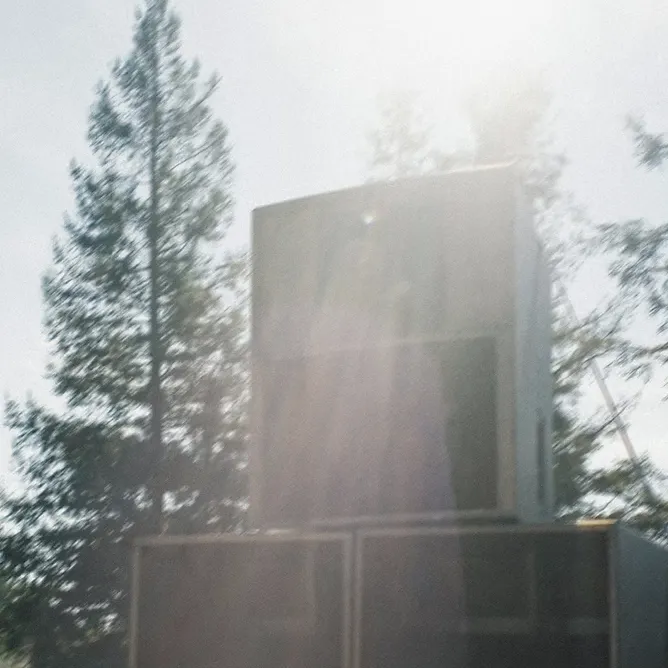 the soundsystem among pine trees
